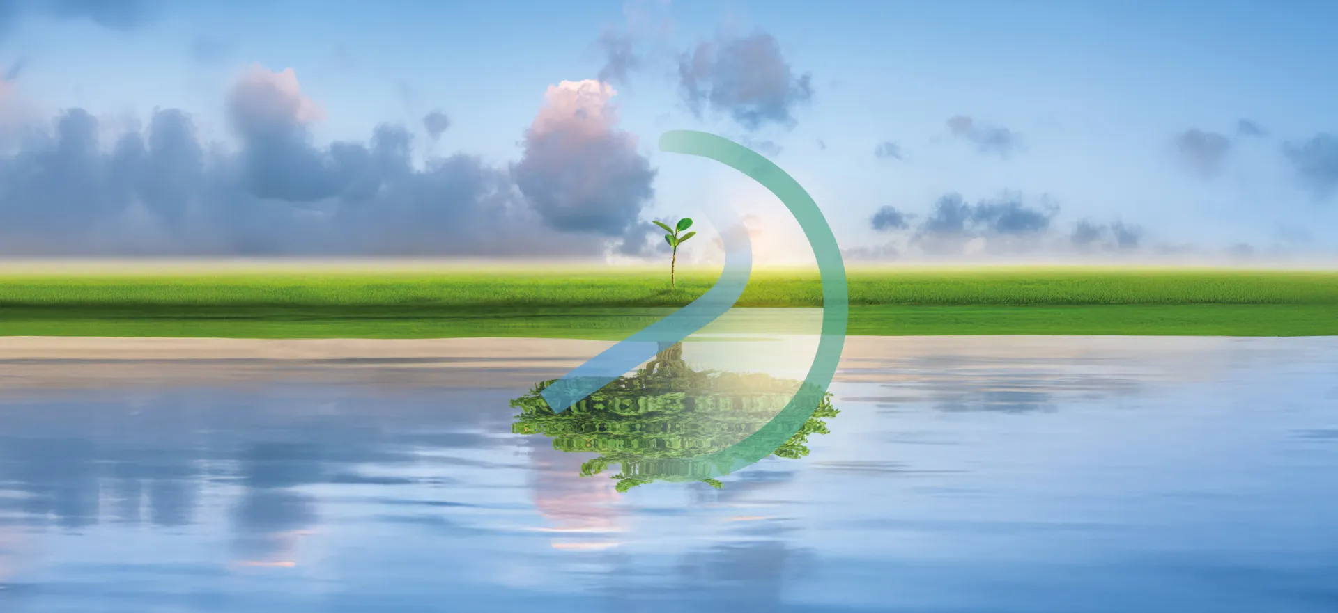 Mediochiampo Logo Home Page